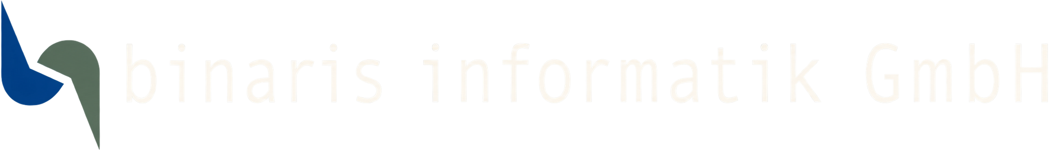 Logo binaris informatik GmbH